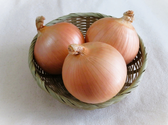 姫路でペットとお出かけスポット ワンちゃんが食べたらダメな食べ物