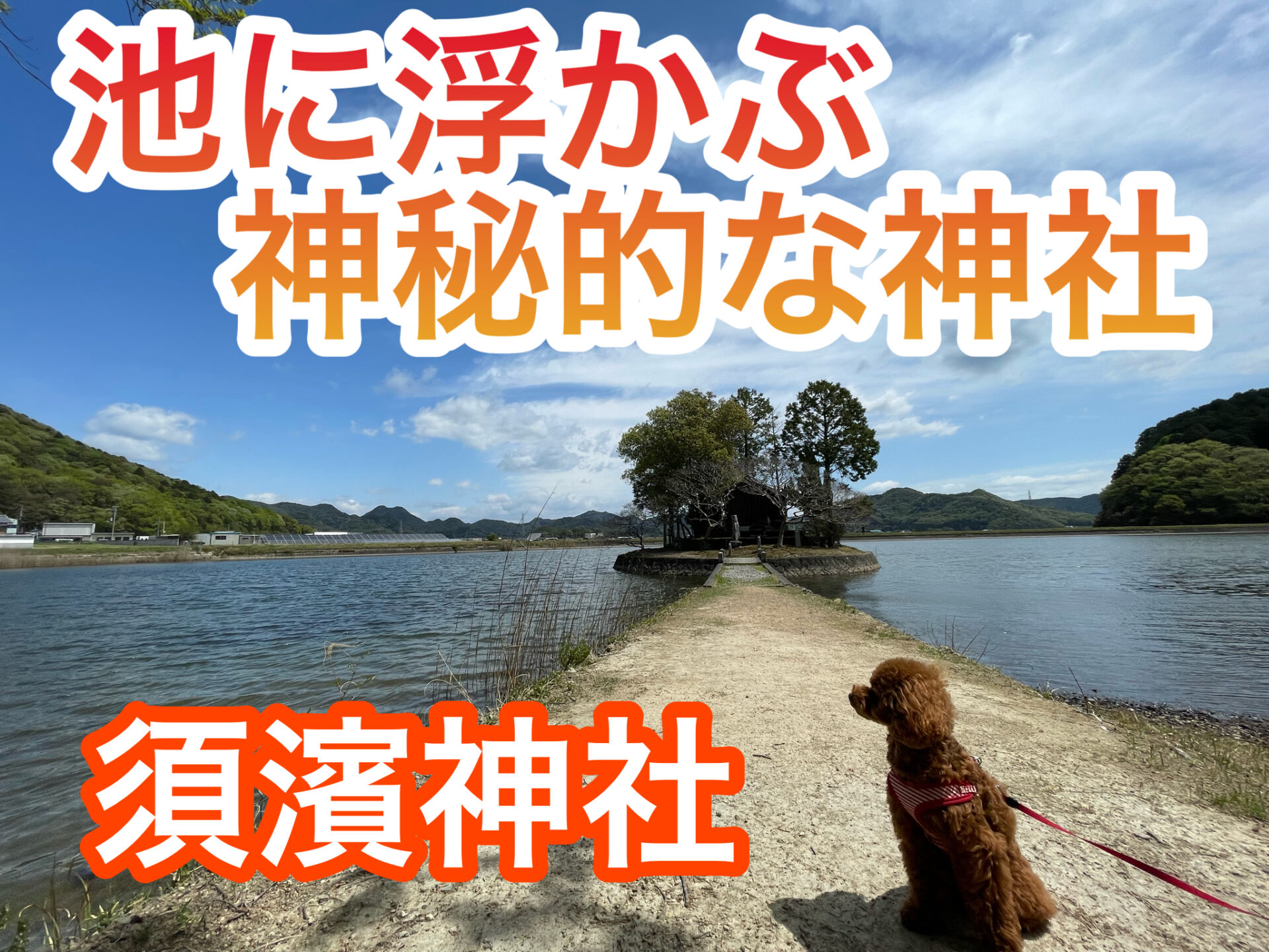 兵庫県ペットとお出かけスポット