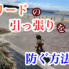 犬のしつけ