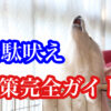 犬のしつけ