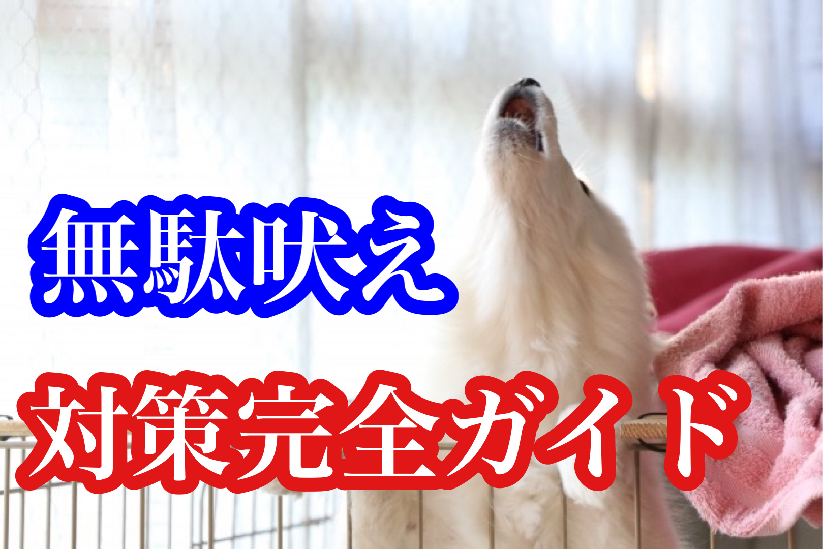 犬のしつけ