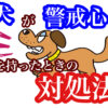 犬のしつけ