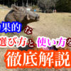 犬のしつけ