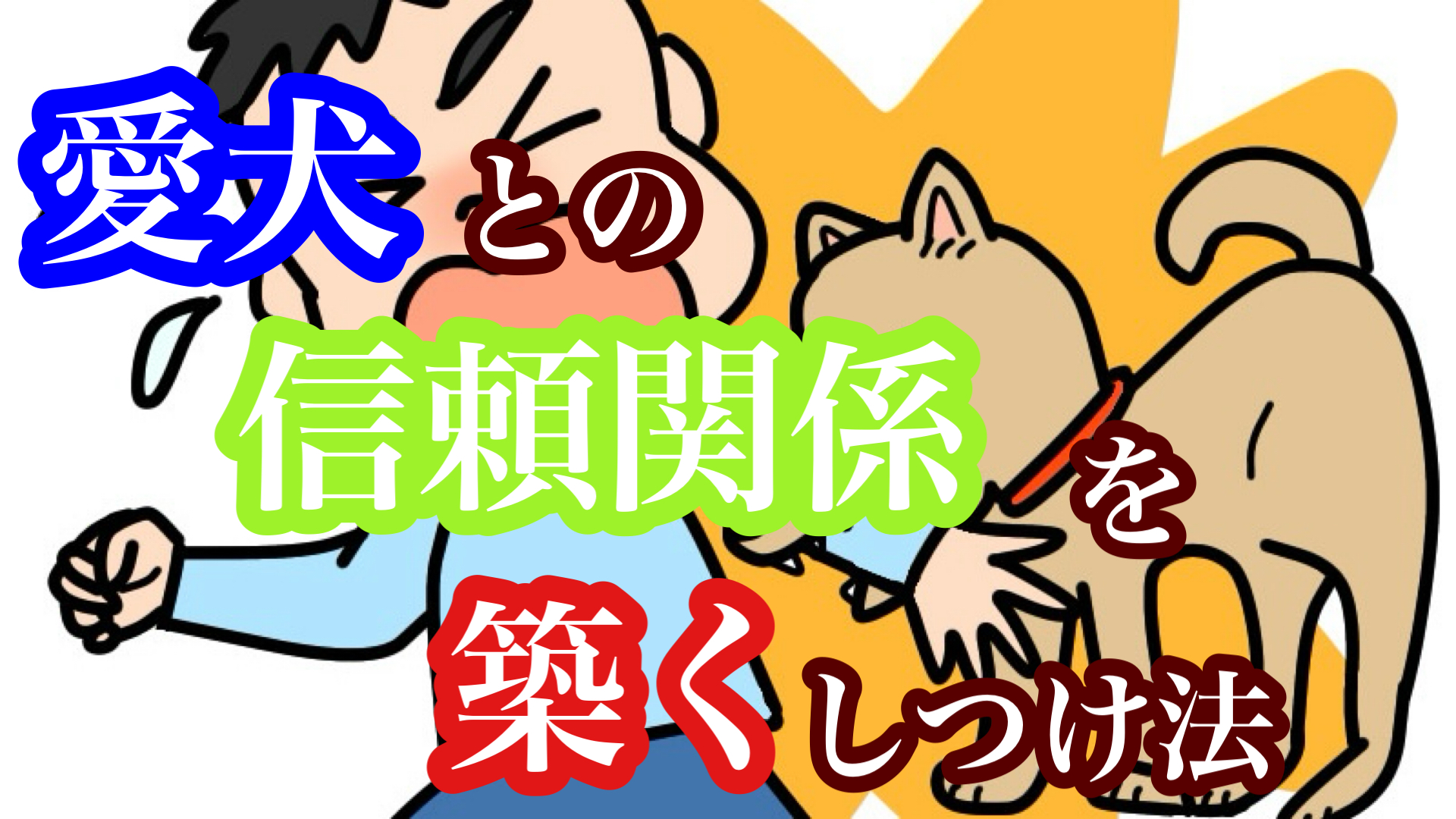 犬のしつけ