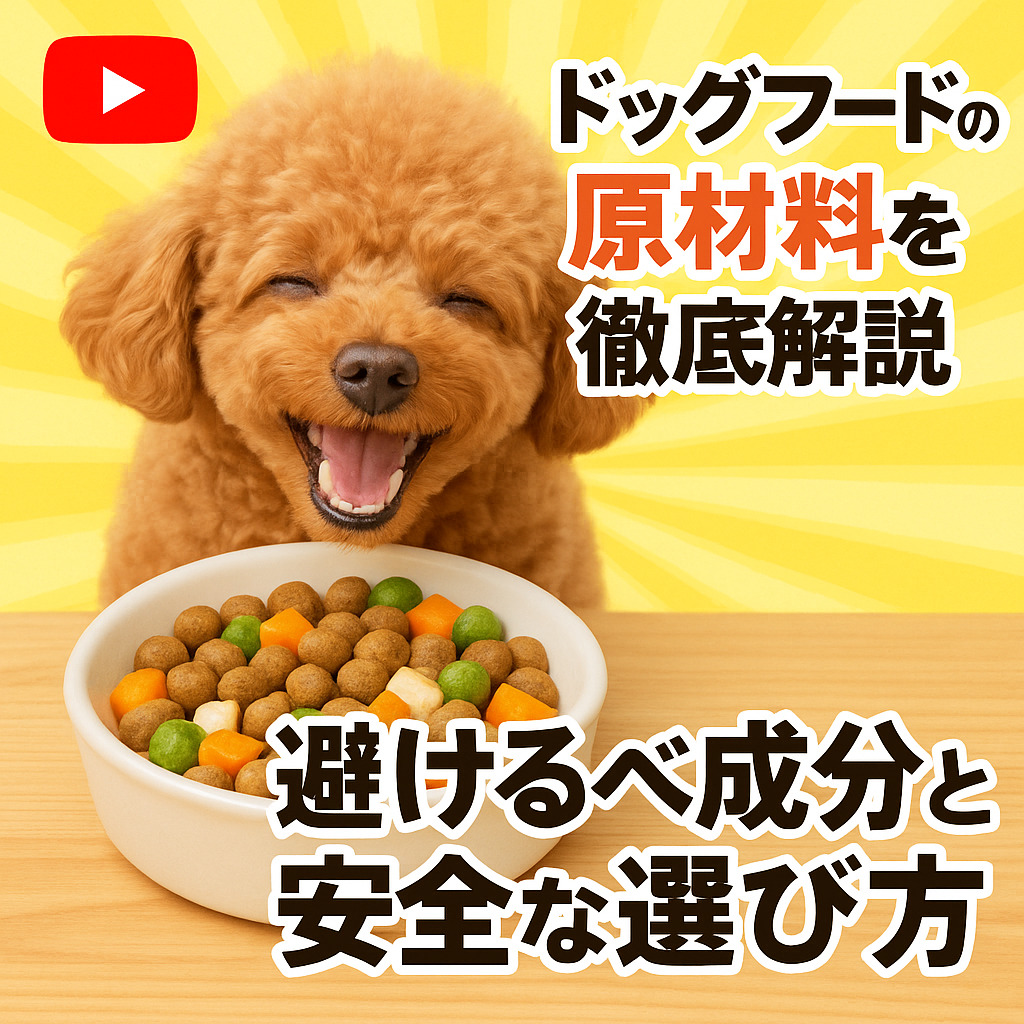 犬の食事