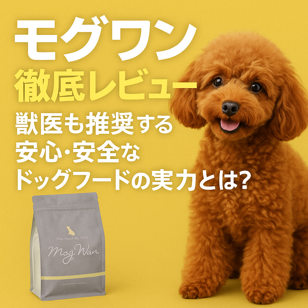 犬の食事