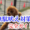 無駄吠え