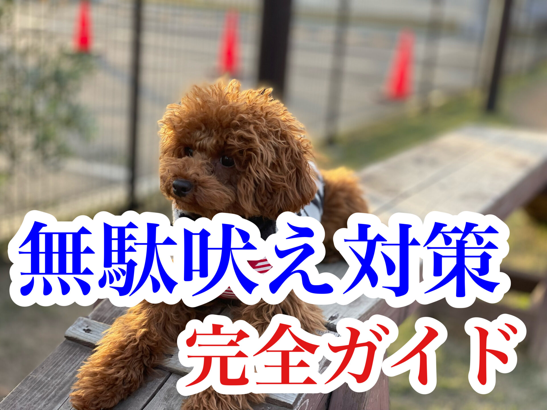 無駄吠え