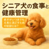 シニア犬