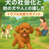 犬の社会性