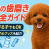 犬の歯磨き