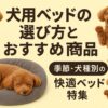 犬用ベット