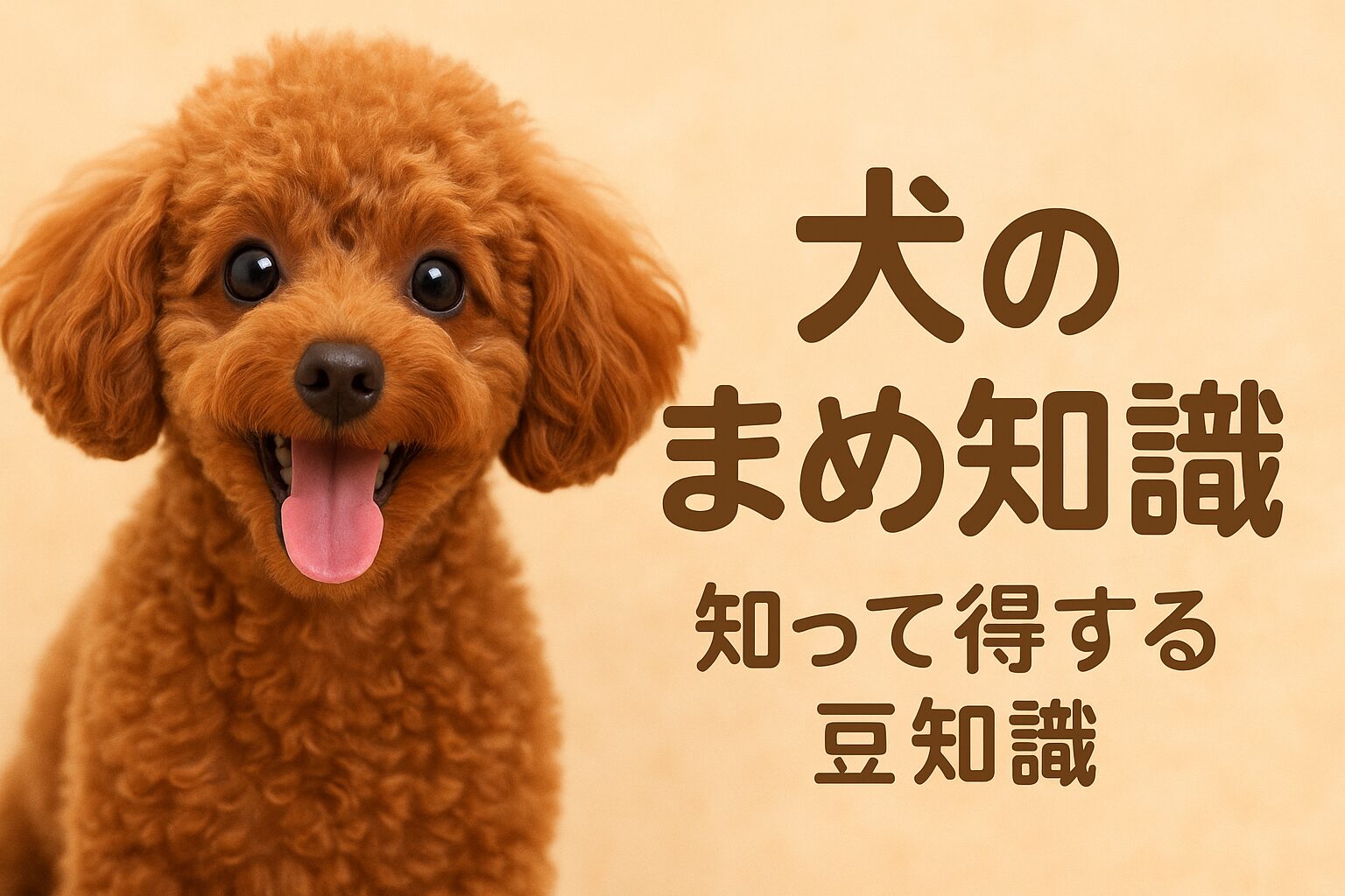 犬のまめ知識・コラム