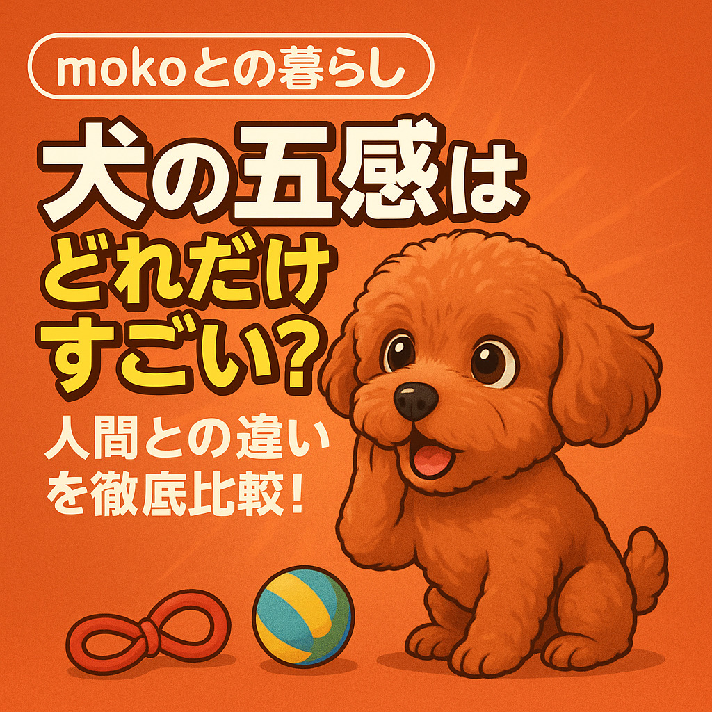 犬の社会性