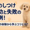 犬のしつけ