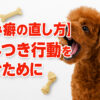 犬の噛み癖