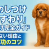 犬のおすわり