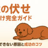 犬の伏せ