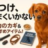 犬のしつけ