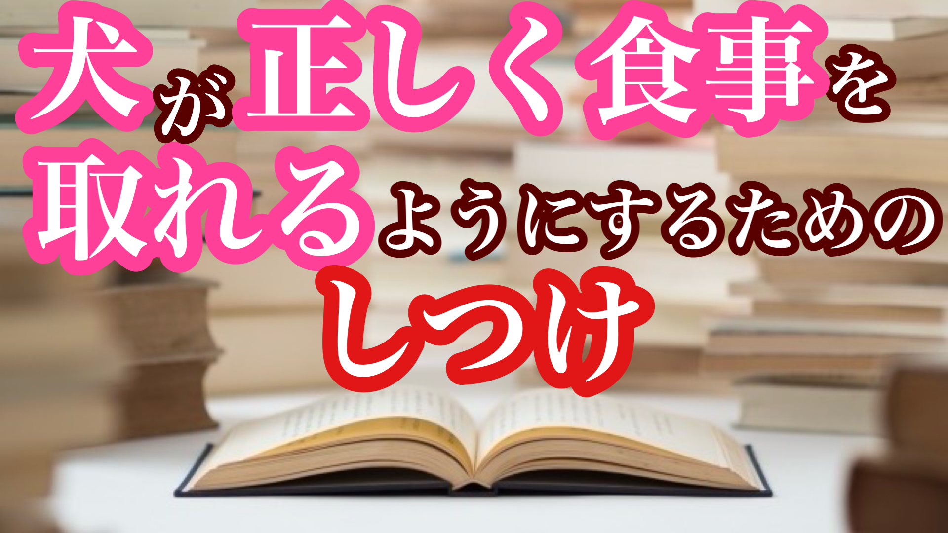 犬のしつけ