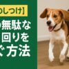 犬の無駄な走り回り
