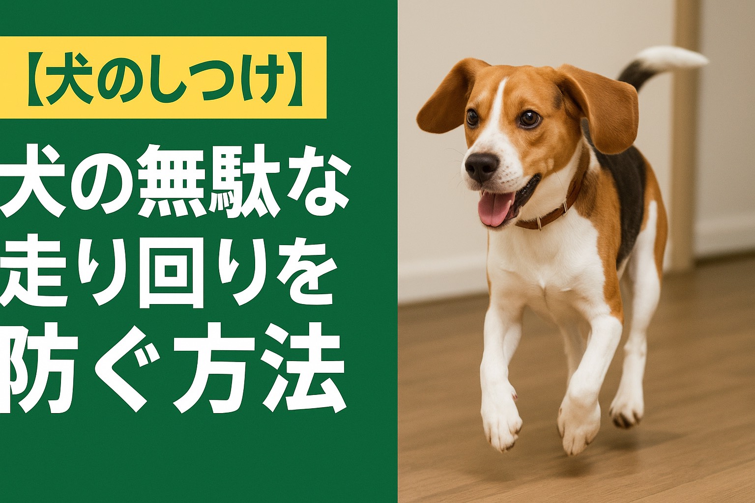 犬の無駄な走り回り