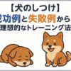 犬のしつけ