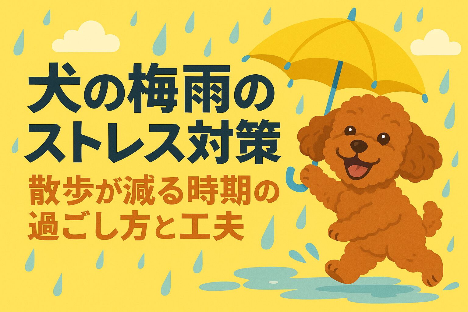 犬の梅雨対策