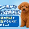 犬の怖がり症