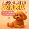 犬の表情