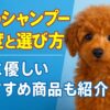 犬のシャンプー