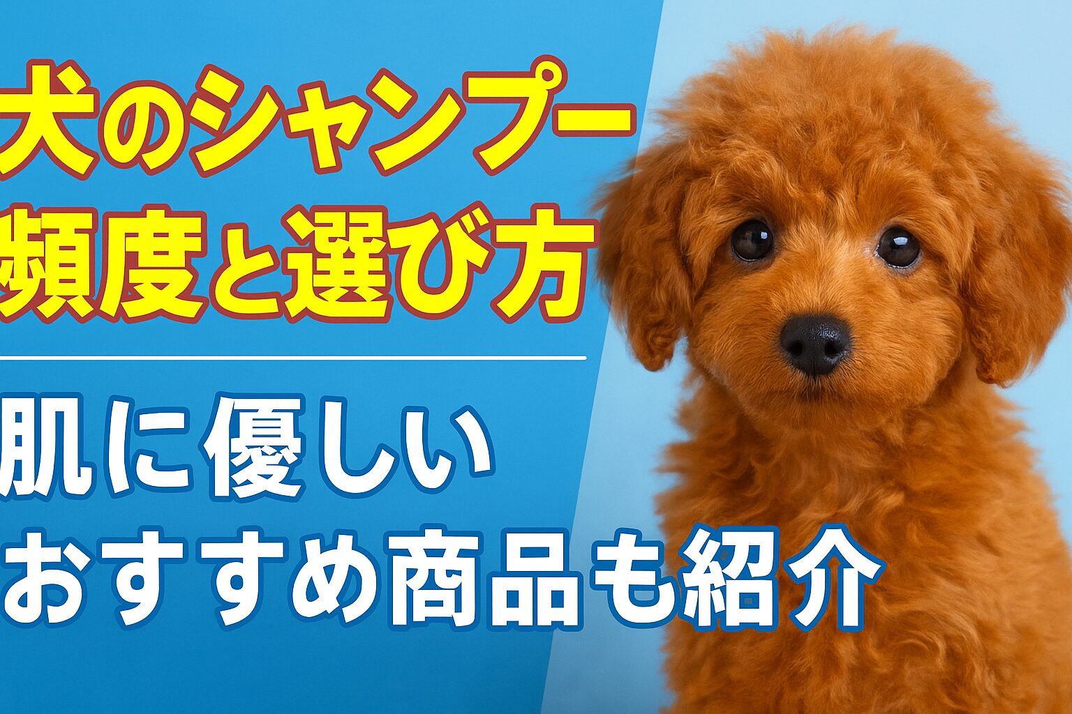 犬のシャンプー