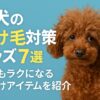 犬の抜け毛