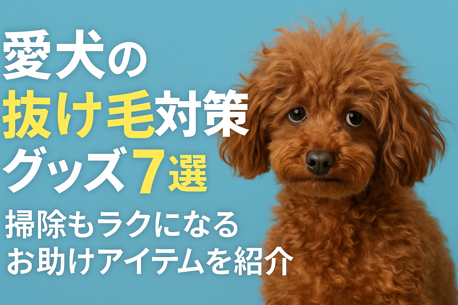 犬の抜け毛