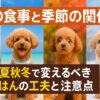 犬の食事