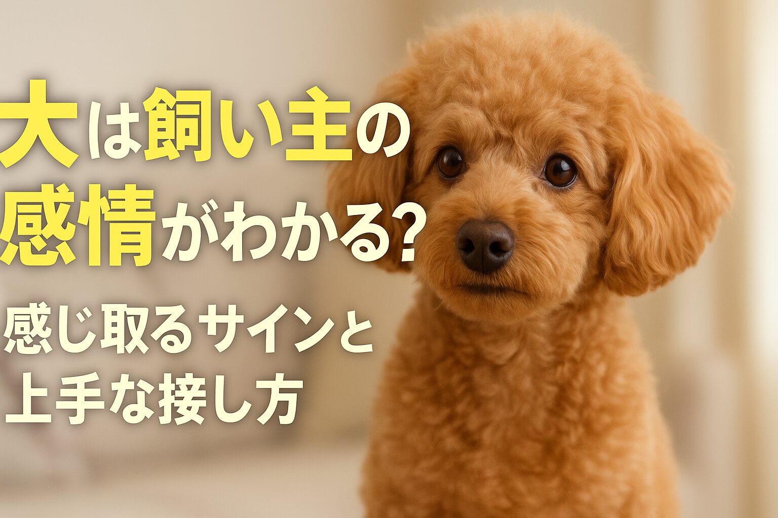 犬のしつけ