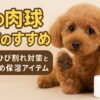犬の肉球ケア