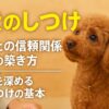 犬のしつけ