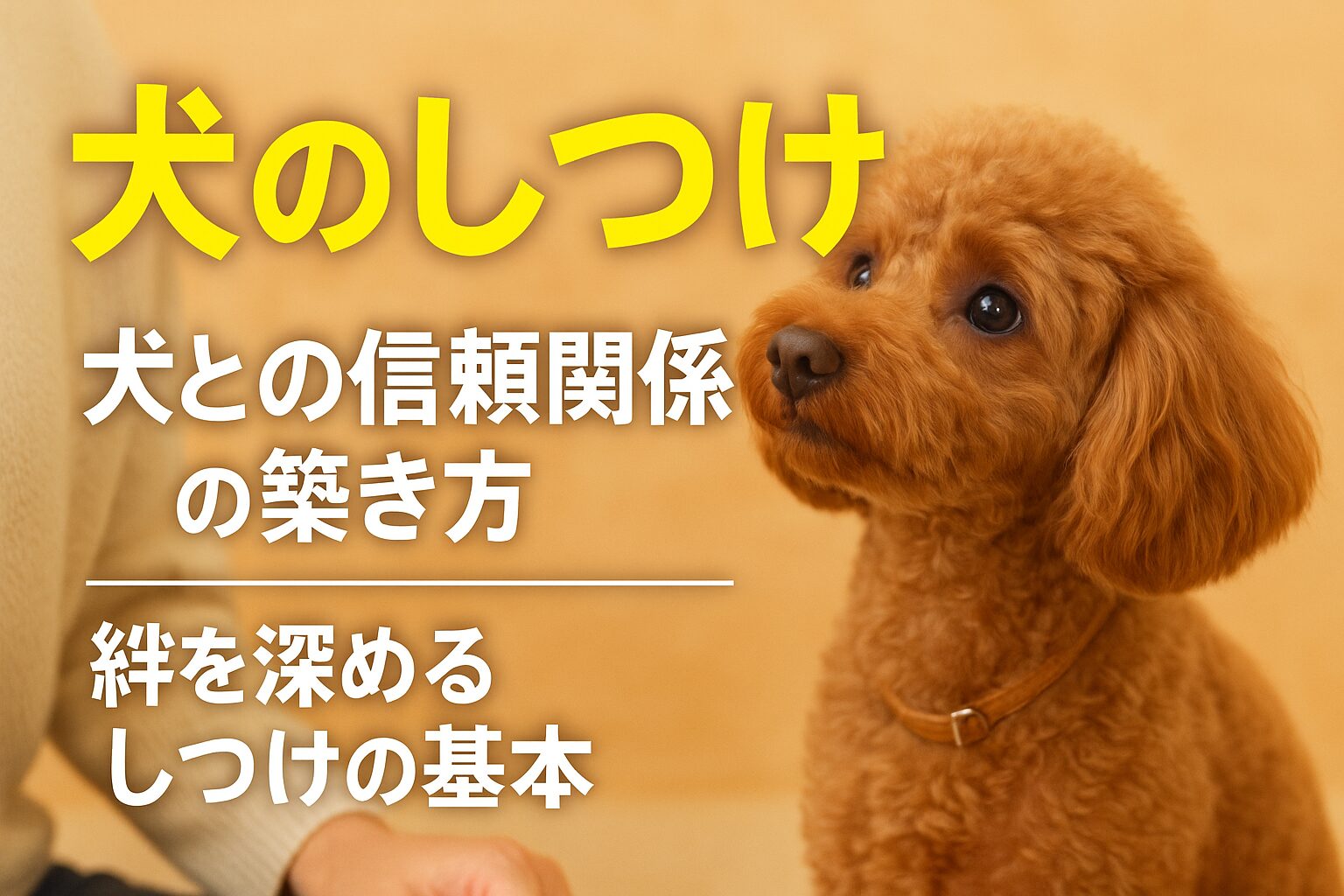 犬のしつけ