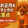 犬の食事
