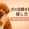 犬との接し方