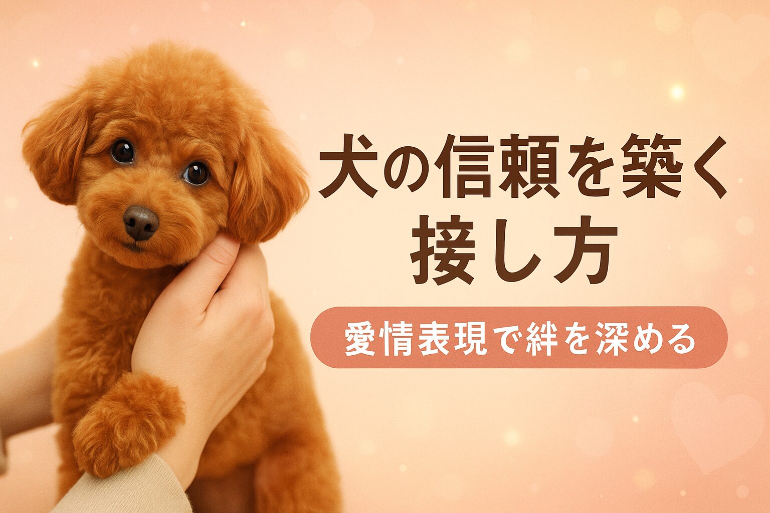 犬との接し方