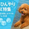犬夏ばて