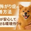 犬の怖がり症
