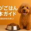 犬の食事