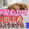 犬のしつけ