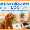 犬のしつけ