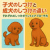 犬のしつけ