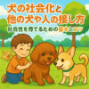 犬のしつけ