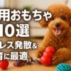 犬のおもちゃ